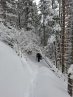 kgk-touren &raquo; Schneeschuhtour Darmstädter Hütte 11.1.2026
